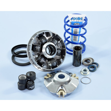 241_750_maxi_POLINI.jpg Variatore hi-speed piaggio evolut.2 14,8