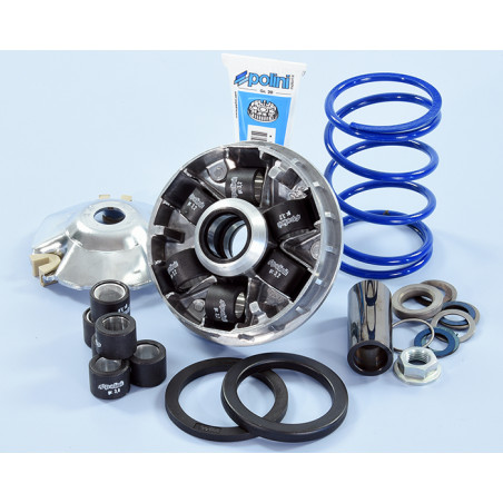 241_751_maxi_POLINI.jpg Variatore hi-speed piaggio evolut.2 16