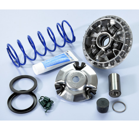 241_755_maxi_polini.jpg Variatore hi-s.honda sh 125/150i abs e5