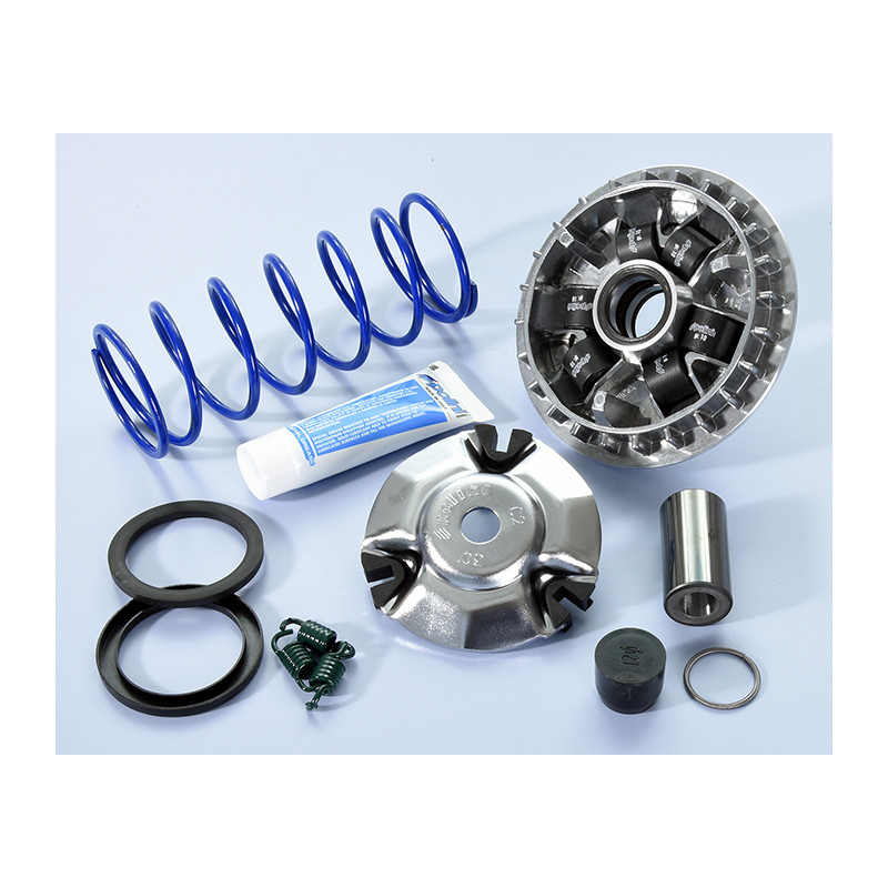 241_755_maxi_polini.jpg Variatore hi-s.honda sh 125/150i abs e5