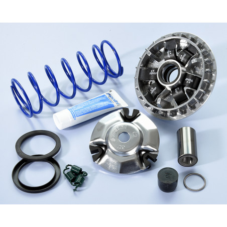 241_755_maxi_polini.jpg Variatore hi-s.honda sh 125/150i abs e5