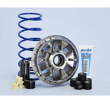 241_756_maxi_polini.jpg Variatore hi-speed kymco agility 300i e4