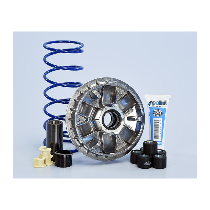 241_756_maxi_polini.jpg Variatore hi-speed kymco agility 300i e4