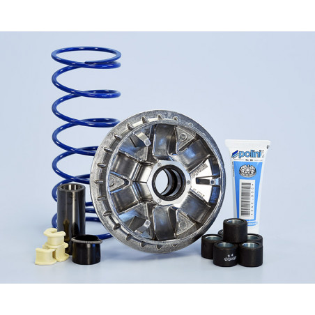 241_756_maxi_polini.jpg Variatore hi-speed kymco agility 300i e4