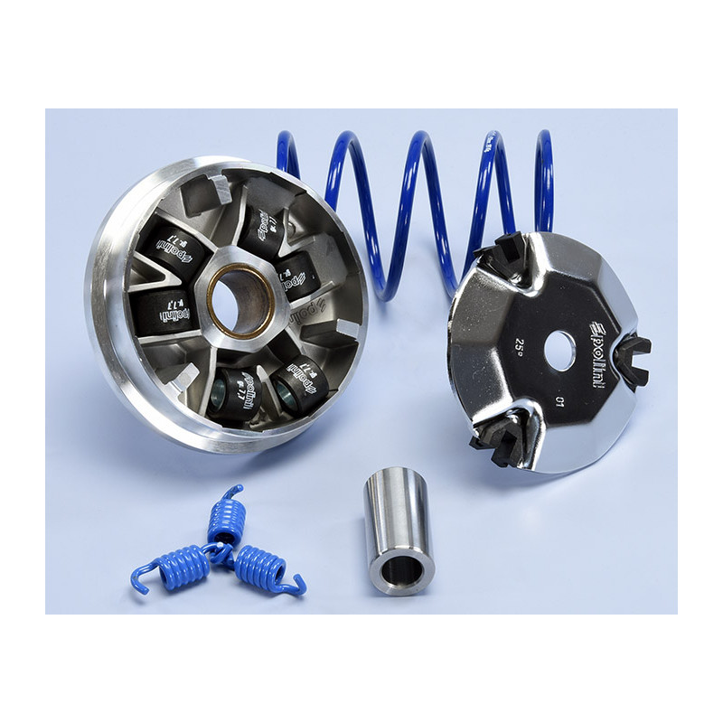 241_757_polini_maxi_polini.jpg Variatore hi-speed peugeot kisbee 50