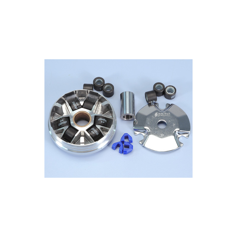 241_340_maxi_POLIN.jpg Variatore honda vision-peugeot st