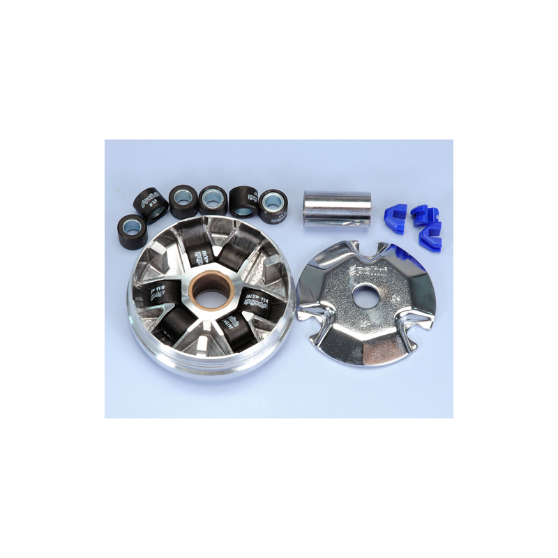 241_480_maxi_POLINI.jpg Variatore kymco djy 50, cx