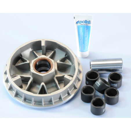 241_637_maxi_POLINI.jpg Variatore kymco x citing 500