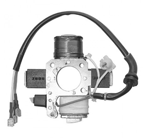 Statore elettronico piaggio...