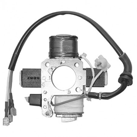 Statore elettronico piaggio si-supebravo