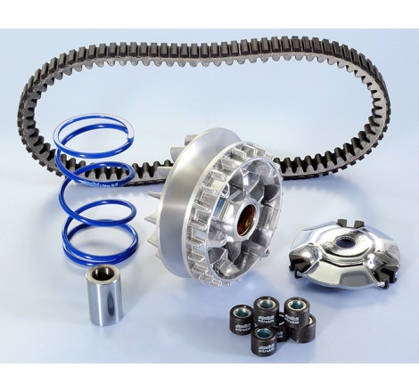 241_719_maxi_POLINI.jpg Variatore hi-speed piaggio-vespa 300 evol