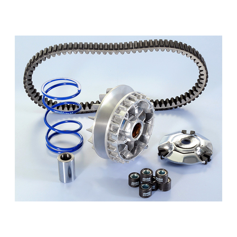 241_719_maxi_POLINI.jpg Variatore hi-speed piaggio-vespa 300 evol