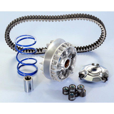 241_719_maxi_POLINI.jpg Variatore hi-speed piaggio-vespa 300 evol