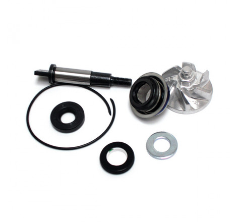 282019_SGR.jpg Kit riparazione pompa acqua honda 300 sh-forza