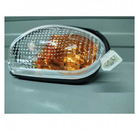 217047_SGR.jpg Ecie fan.dir.ant.sx scarabeo 50/100 2001