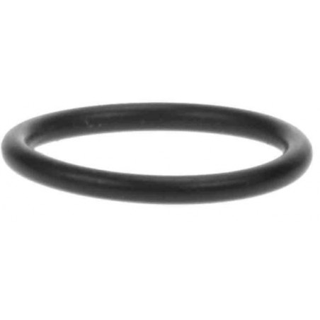 00327_ARIETE.JPG O-ring 11.11 x 1.78