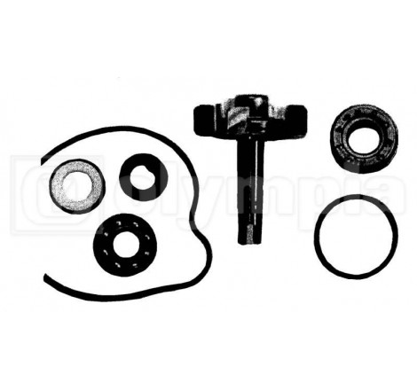 Kit revisione pompa acqua