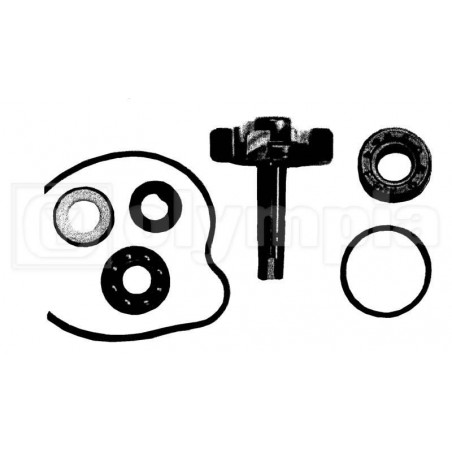 Kit revisione pompa acqua
