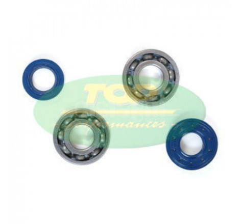 Kit cuscinetti e paraoli...