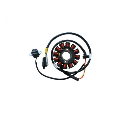 Statore 12 poli kymco...