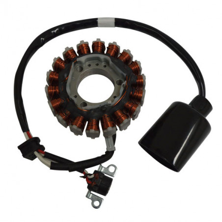 Statore 18 poli yamaha 250 x-max ie/x-city 07/16