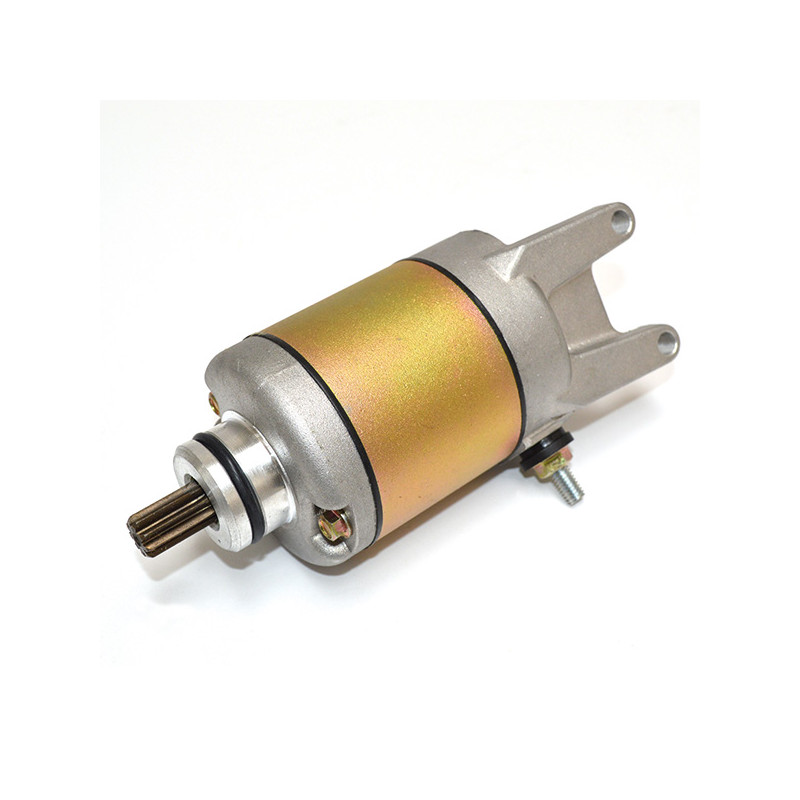 17.81258_SENZA MARCA_.jpg Motorino avviamento piaggio mot.250 beverly/x9