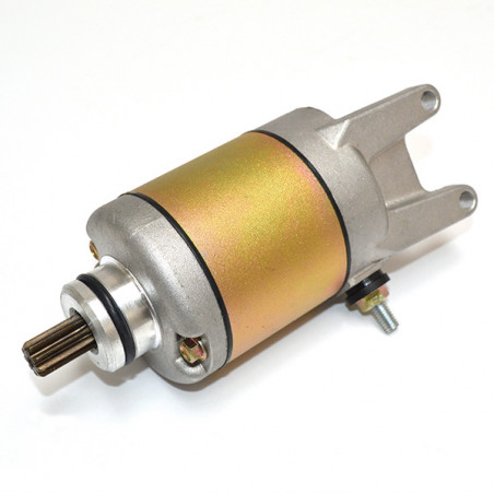 17.81258_SENZA MARCA_.jpg Motorino avviamento piaggio mot.250 beverly/x9