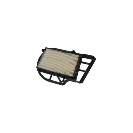 26.4498_MEIWA_.jpg Filtro aria miw carter mot.majesty250