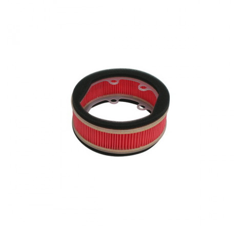 Filtro aria carter xenter 125/150 rif. miw: y4208